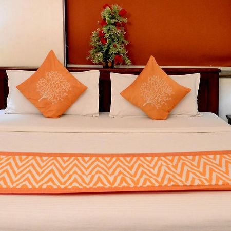 Shree Mohan Home Stay- A Heritage Home Jodhpur  Exterior photo